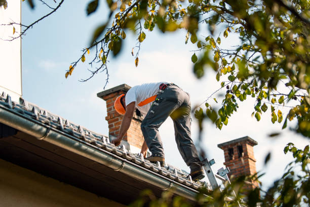 Best Residential Roofing Contractor  in Mascoutah, IL