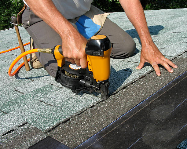 Best Roof Gutter Cleaning  in Mascoutah, IL