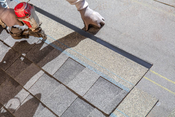 Best Roof Repair Services  in Mascoutah, IL